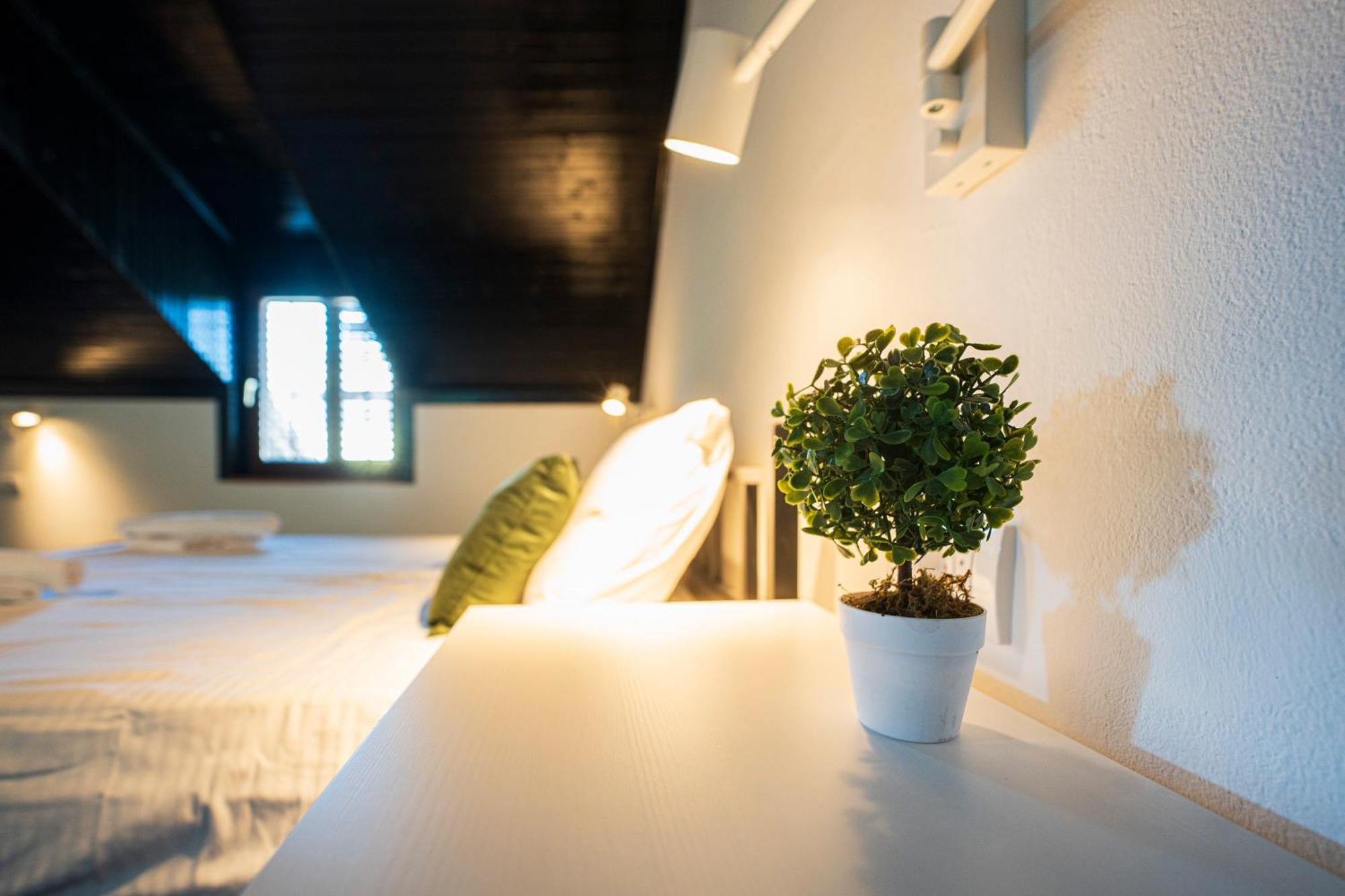 Cozy Nook B&B - Free Private Parking Novi Sad Eksteriør bilde